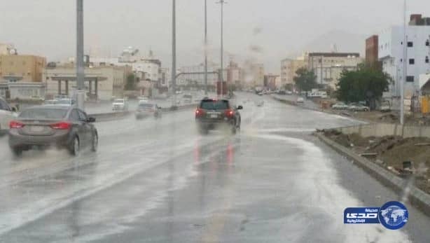 الأرصاد: هطول أمطار رعدية مسبوقة برياح نشطة تحد من الرؤية