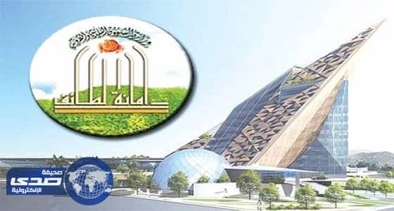 أمانة الطائف تشن حملات تفتيشية على المحال التجارية