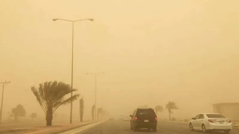 بالفيديو .. الأرصاد: الموجة الغبارية ستصل إلى المنطقة الجنوبية غداً