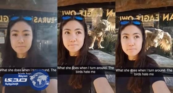 بالفيديو.. درس قاسي لبومة حاولت الإنقضاض على فتاة