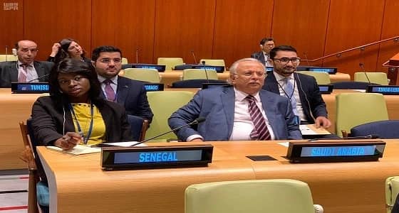 المملكة تؤكد: حق الفلسطينيين وذرياتهم في العودة إلى وطنهم غير قابل للتصرف