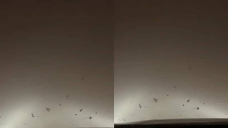 رياح هابطة تتسبب بانعدام الرؤية قرب أم سدرة باتجاه الرياض .. فيديو