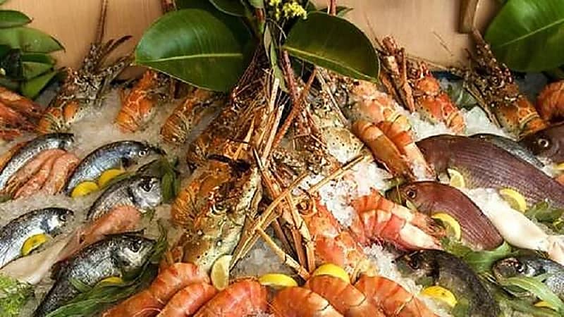 خبيرة تحذر من نقص الدهون في الجسم: "يسبب العقم"