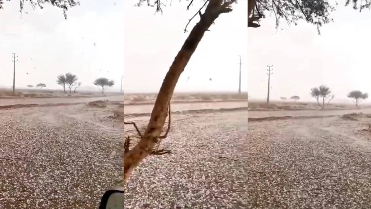 بالفيديو.. سقوط البرد في منطقة العش