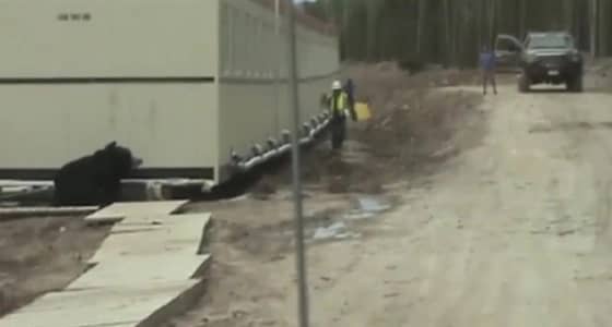 مقطع فيديو يحقق 78 مليون مشاهدة لسبب غريب