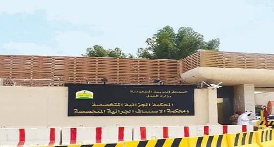 " الجزائية المتخصصة " تنظر دعوى ضد عاملة منزلية داعمة لداعش