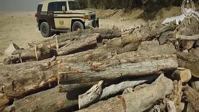 "الداخلية": ضبط (66) مخالفًا لنظام البيئة خلال أسبوع