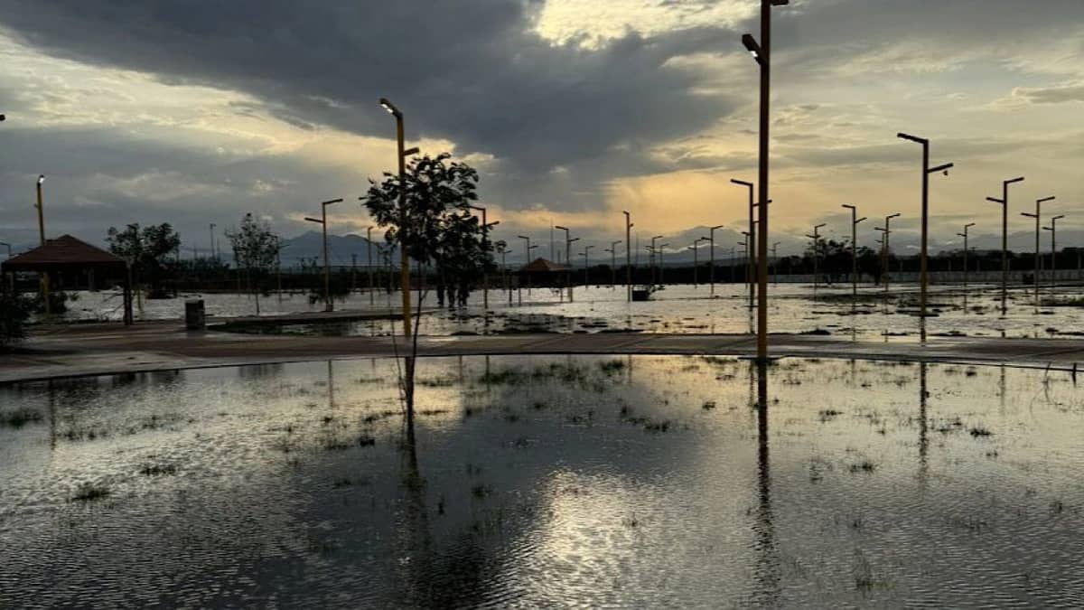 الحصيني: بدء طالع "الصرفة" وبداية الاعتدال التدريجي