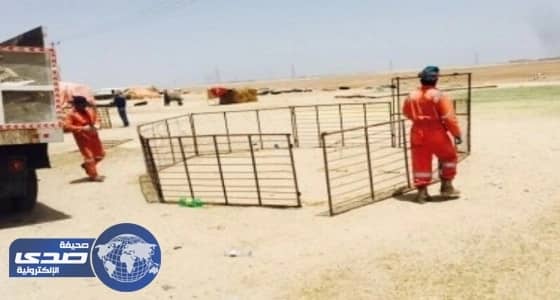 ضبط 125 أشباك حوش غنم وأشرعة لمباسط عشوائية بالخفجي