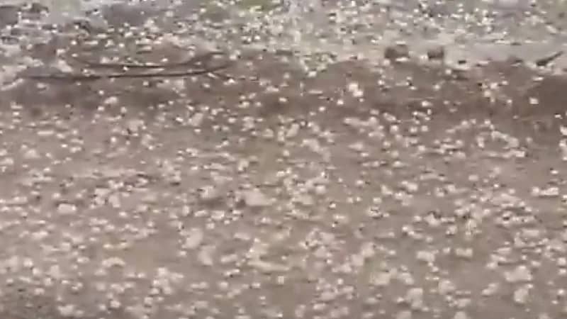 بردية كثيفة تغطي وادي جليل في الطائف.. فيديو