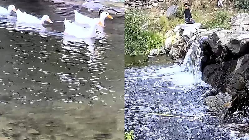 شلالات وأودية تنبض بالحياة بعد الأمطار في الباحة.. فيديو