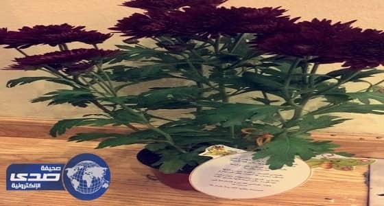 مؤسسة رعاية الفتيات بمكة تفعل أسبوع الشجرة