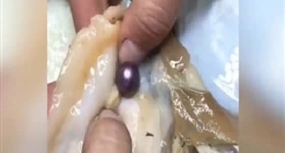 بالفيديو.. سيدة تعثر على لؤلؤه داخل محار