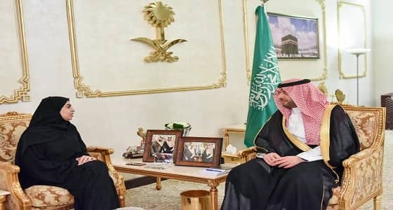 أمير الشمالية يستقبل نائبة وزير العمل