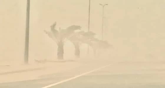 بالفيديو..حالة الطقس المتوقعة غدًا الاثنين