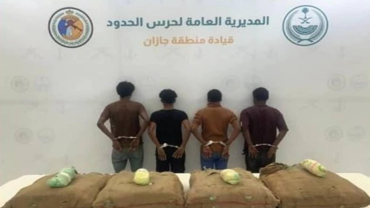 القبض على 4 مخالفين لتهريبهم 72 كيلوجرامًا من نبات القات المخدر بجازان