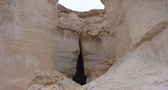 بالفيديو.. تونسي يعيش في مغارة ويقتات على الديدان