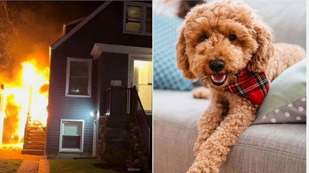 0e8ac24b-091b-4ed8-8094-6feb2d158f05 (1).jpg