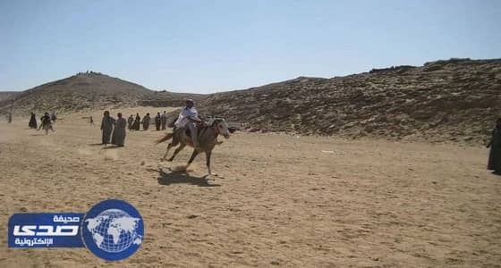 مصرع مواطن سقط من فوق أحد الخيول بالطائف