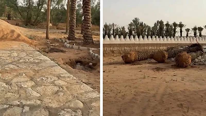 الزعاق: الدورات المناخية تعيد نفسها وعاصفة الأمس تكررت قبل 56 عامًا.. فيديو