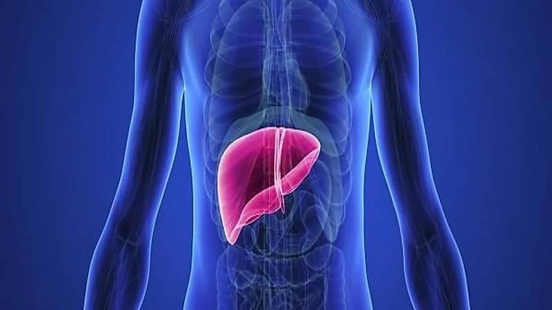 علامات تشير إلى الإصابة بخلل في وظائف الكبد