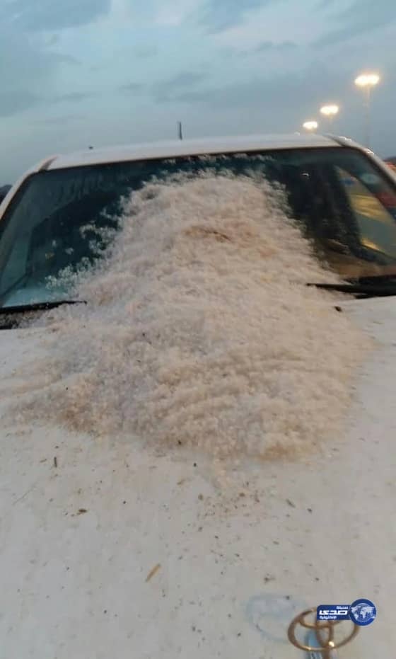 طلعت حافظ: إجمالي القروض العقارية للأفراد والشركات بلغت 202.3 مليار ريال