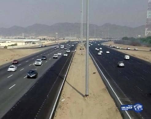 بالصور.. رد فعل طريف لصغار دببة أثناء أصطياد والدهم سمك