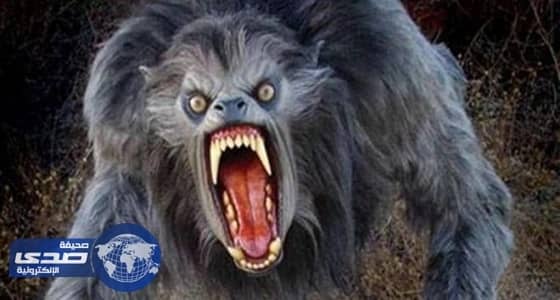 بالصور.. " السلعوة " خرافة لايخاف الأطفال في القديم أصبحت واقع