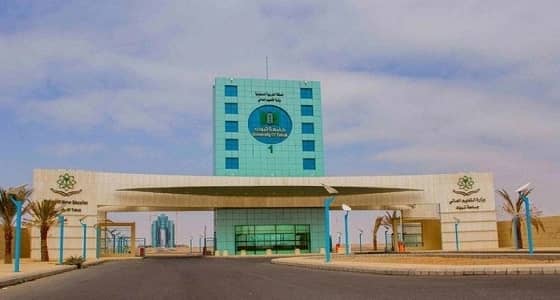 تحويل شؤون أعضاء هيئة التدريس بجامعة تبوك إلى الموارد البشرية