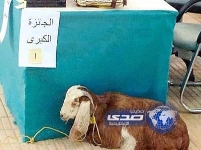 مدرسة ثانوية تكافئ موظفها المثالي بـ"تيس" 