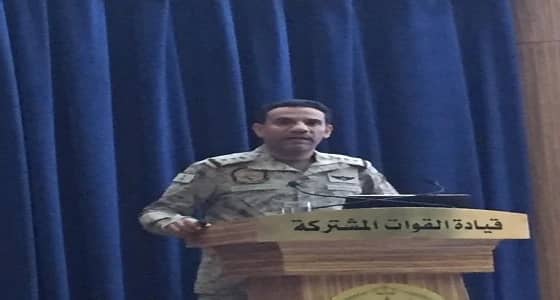 " المالكي " يكشف حقيقة رصد سفن تحمل أسلحة بدلًا من المواد الغذائية