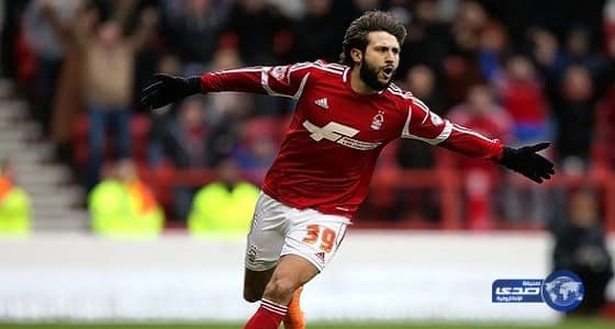 بالفيديو.. مشاهد مرعبة لحيوانات تجمدت من شدة البرد