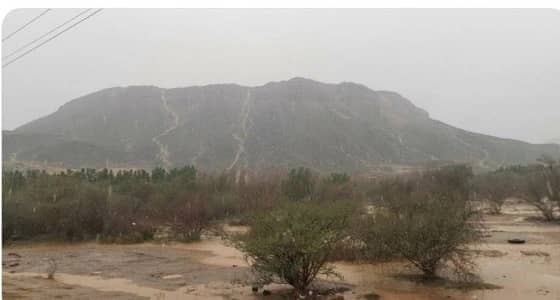 احتجاز 3 مواطنين بداخل سيل في خليص