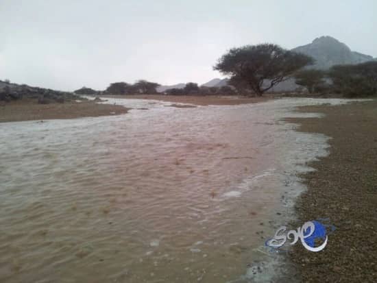 بالصور.. أمطار غزيرة وثلوج على "رنية"