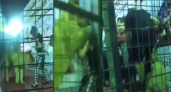 مدرب الأسد الذي هاجم طفلة جدة يكشف معلومات جديدة