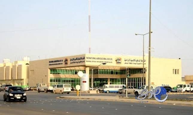 (نادك) توزع 50 مليوناً على مساهميها