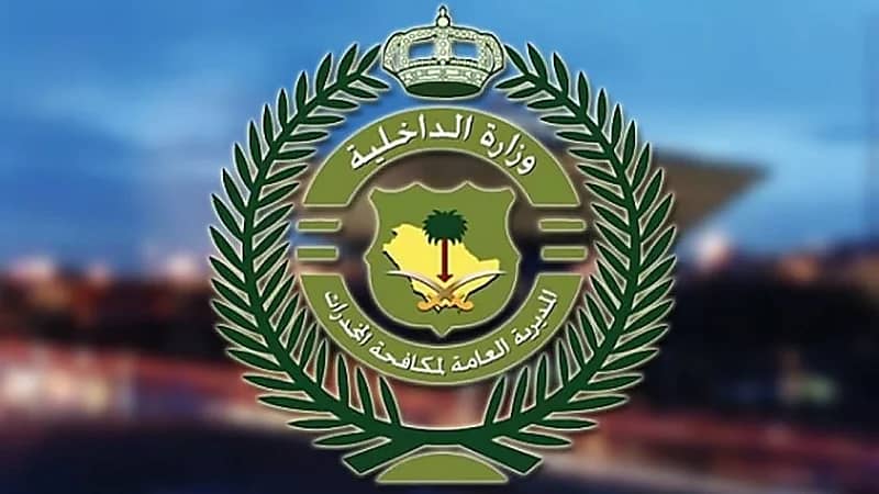 الإطاحة بـ12 مروج مخدرات وضبط كميات كبيرة بعدة مناطق .. فيديو