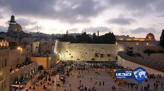 بالصور.. لبؤة تتبنى نمرا صغيرا وترضعه بدلاً من قتله