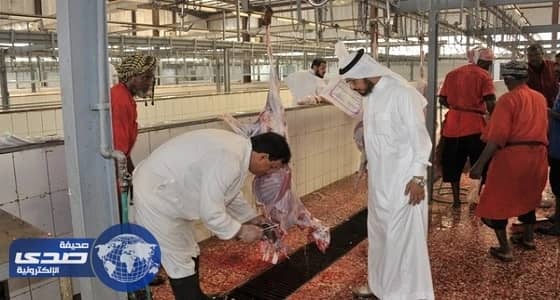 ⁠⁠⁠⁠⁠أمانة العاصمة المقدسة تهيئ جميع المسالخ