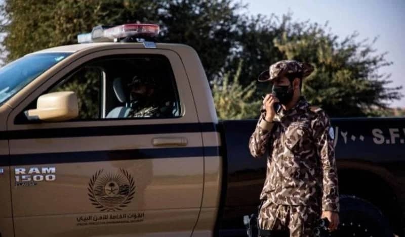 فيديو..ضبط 47 مخالفًا لنظام البيئة