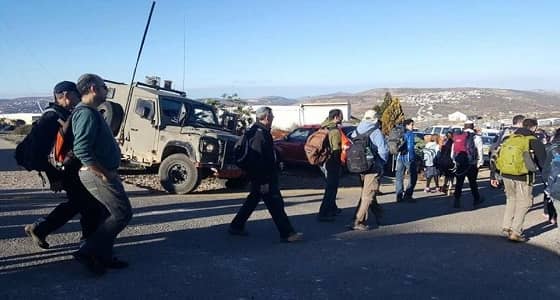 عشرات المستوطنين اليهود يقتحمون منطقة المسعودية الأثرية شمال نابلس