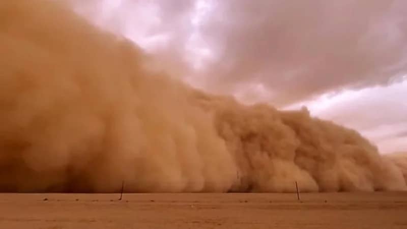 الحقيل ينفي وجود عاصفة ضخمة على الرياض.. فيديو