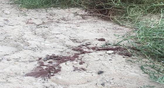 بعد تنفيذ حكم القتل حدا فيها.. ملابسات ذبح مواطنة لابنة زوجها