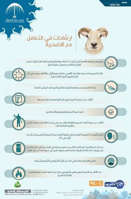 الجمعية تقدم إرشادات ونصائح للمضحِّين.."حماية المستهلك": تأكدوا من ذبح الأضحية في المسالخ المعتمدة