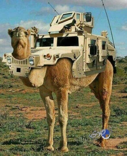 هين كلها فترة واصير أغلى من المدرعة وينقلب الحال !