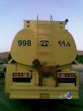 بعد ما يخمد الحريق نسويك مندي !