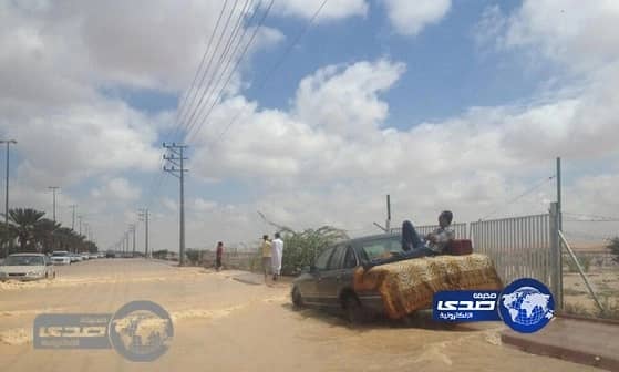 صورة طريفة لشاب "مروق على الآخر " افترش سيارته وسط السيول وعايش حياته !