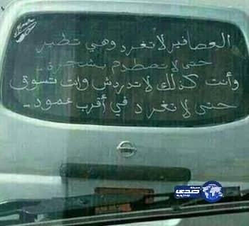 العصافير لاتغرد وهي تطير !