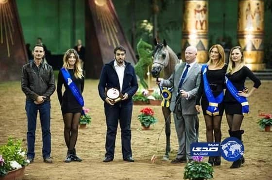 المهرة "بيفنكا" تحقق صافة بطولة أوروبا