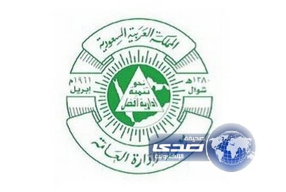  2343 موظفًا حكوميًا وموظفة يلتحقون بـ 92 برنامجًا تدريبيًا بمعهد الإدارة غداً